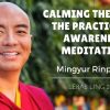 Calming the Mind: The Practice of Awareness Meditation