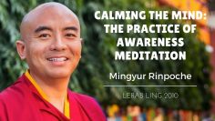 Calming the Mind: The Practice of Awareness Meditation