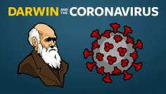 Where Do New Viruses Come From?